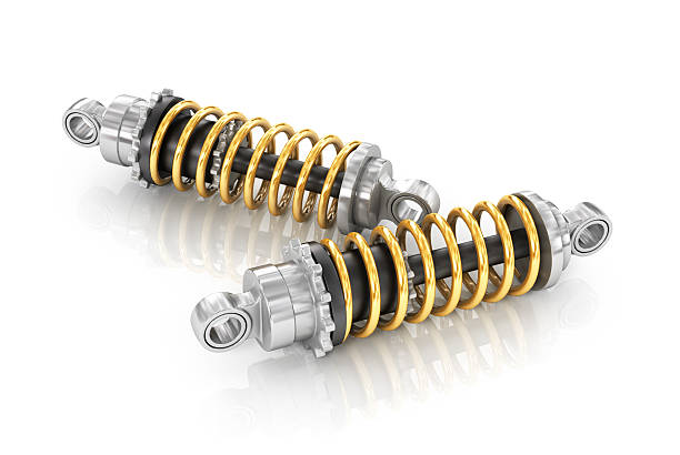 Rear Coil Spring — Heavy Duty